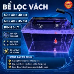Combo Bể Cá Lọc Vách Kính Siêu Trong Trung Quốc 6 Ly Full Bơm, Matrix, Gòn Lọc, Đèn Kẹp S3 – Size 50/60cm 1