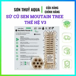 Sứ củ Sen Moutain Tree Thế Hệ V3 (Kt: 8x25cm) Cải Thiện Về Công Nghệ - Thùng 12 Thanh 7