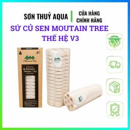 Sứ củ Sen Moutain Tree Thế Hệ V3 (Kt: 8x25cm) Cải Thiện Về Công Nghệ - Thùng 12 Thanh 4