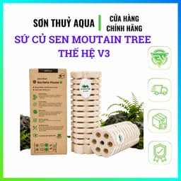 Sứ củ Sen Moutain Tree Thế Hệ V3 (Kt: 8x25cm) Cải Thiện Về Công Nghệ - Thùng 12 Thanh 3
