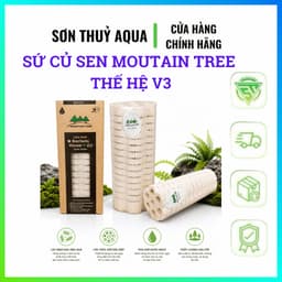Sứ củ Sen Moutain Tree Thế Hệ V3 (Kt: 8x25cm) Cải Thiện Về Công Nghệ - Thùng 12 Thanh 2