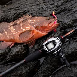 Máy Câu Ngang Daiwa 2026 Zillion TW 150HL - Mẫu Mới 2026 3