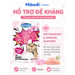 Pate Faenbei Tinh Thể Chức Năng 70g Cho Mèo | Pate Thịt Tươi Bổ Sung Dinh Dưỡngg 4