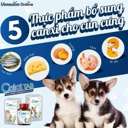 Viên canxi cho chó, mèo con, chó, mèo mang thai và nuôi con giúp xương chắc, răng khỏe Calci tab VIMEDIM lọ 50 viên 3