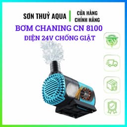Bơm Chaning CN-8100 DC 24V Chống Giật | Bơm Điều Chỉnh Lưu Lượng 5W-135W Siêu Êm Tiết Kiệm Điện 3
