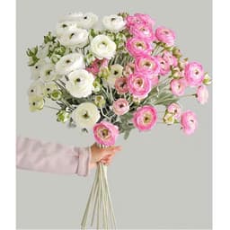 Hoa trà mao lương giả cao cấp dài 67cm trang trí nhà ,cắm điểm, bó hoa cầm tay,decor quan caphe siêu hót 1