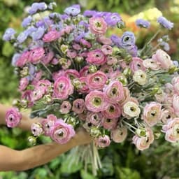 Hoa trà mao lương giả cao cấp dài 67cm trang trí nhà ,cắm điểm, bó hoa cầm tay,decor quan caphe siêu hót 8
