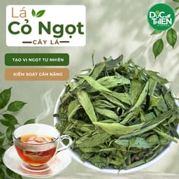 Cây Cỏ Ngọt Loại 1  (Khô, Sạch, Thơm) – Hỗ Trợ Tiểu Đường, Giảm Đường, Giải Nhiệt, Lợi Tiểu 1