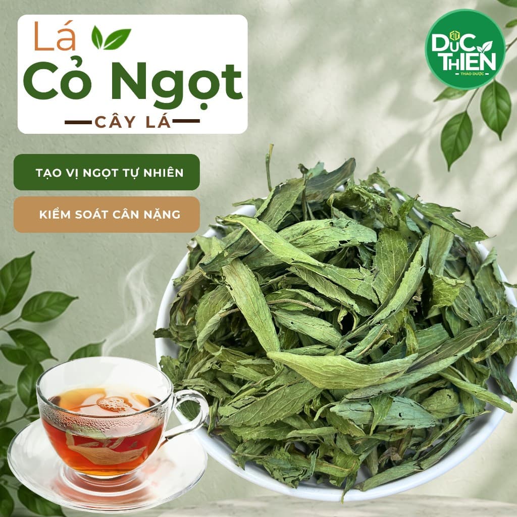 Cây Cỏ Ngọt Loại 1  (Khô, Sạch, Thơm) – Hỗ Trợ Tiểu Đường, Giảm Đường, Giải Nhiệt, Lợi Tiểu