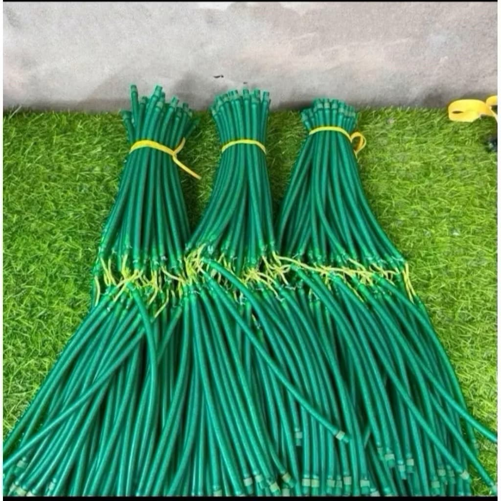 Dây Băng Xanh 3060 Cột sẳn Câu Cá