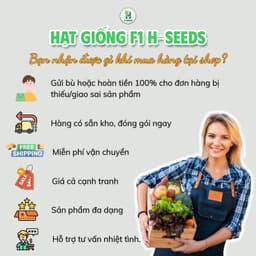 Hạt Giống Cải Bẹ Xanh Mỡ F1- chống sâu bệnh, chịu nhiệt, trồng quanh năm -Gói 2000 hạt 5