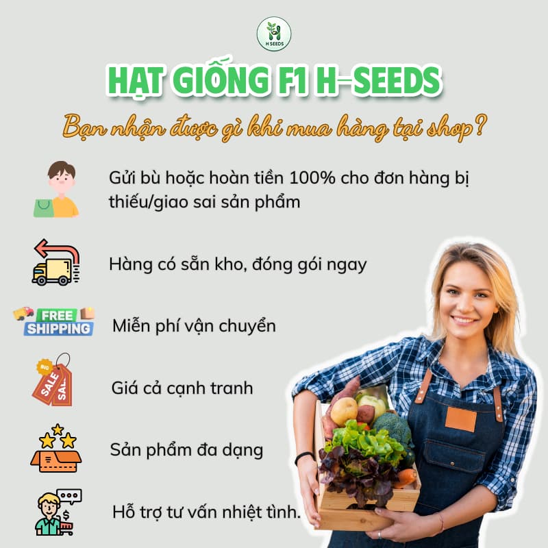 [Gói 2000 Hạt] Hạt giống Cải Bẹ Mào Gà F1 Bẹ Giòn, Lá Xoăn, Không Đắng, Chịu Nhiệt, Trồng Quanh Năm