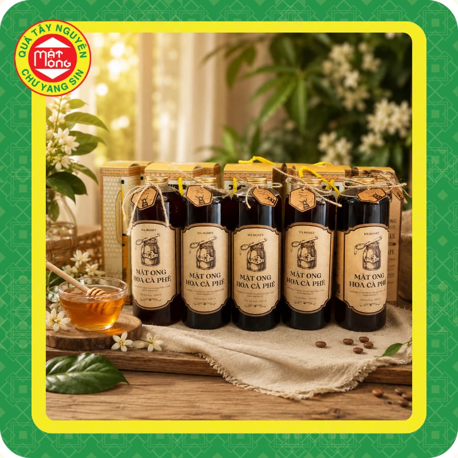 Mật Ong Hoa Cà Phê Ha Honey OCOP 3 Sao - Đặc sản Tây Nguyên thơm ngon
