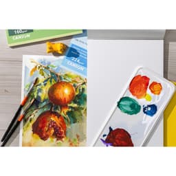 Sổ Vẽ Mỹ Thuật Canson Gáy Keo 160gsm/224gsm - Sketchbook Giấy Vẽ Cao Cấp Chính Hãng 5