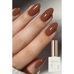 Sơn gel màu Nâu Xeijay cao cấp 15ml, sơn màu nâu 2