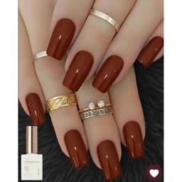 Sơn gel màu Nâu Xeijay cao cấp 15ml, sơn màu nâu 4