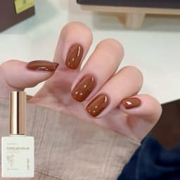 Sơn gel màu Nâu Xeijay cao cấp 15ml, sơn màu nâu 6