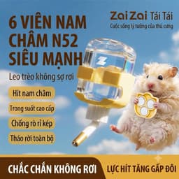 ZAIZAI Bình nước vòi bi kép chống rò rỉ nam châm gắn lồng chuồng hamster 4