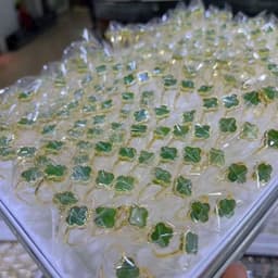 Nhẫn Khung Bac S925 Si Vàg Đính Cỏ 4 Lá Ngoc Bich Tnhien Sdep mê mê 1