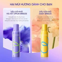 Xịt Gội Khô Grace And Glow Chính Hãng 150ml Kiềm Dầu Làm Tơi Tóc Thơm Lâu Hương Nước Hoa Skin House 9