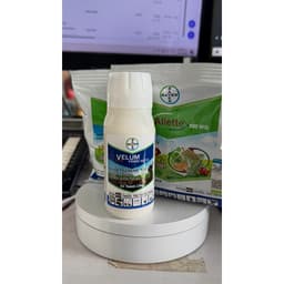 Combo Trừ Tuyến Trùng & Nấm Rễ Bayer: 1 Velum Prime 400SC (100ml) + 2 Aliette 800WG (100g) Pha 200 Lít Nước 3