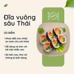 Combo Đĩa Vuông Sâu Thái Việt Nhật Đĩa Nhựa 1250/8/9, Bộ Đĩa Đựng Canh Món Xào Gia Đình - TADAHOME 4