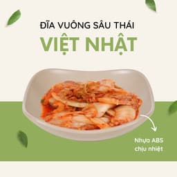 Combo Đĩa Vuông Sâu Thái Việt Nhật Đĩa Nhựa 1250/8/9, Bộ Đĩa Đựng Canh Món Xào Gia Đình - TADAHOME 2