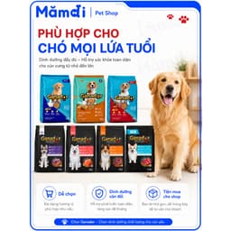 [1.2KG]Hạt Ganador Cho Chó 3 Túi x 400g | Thức Ăn Hạt Puppy Adult Nhiều Vị Lựa Chọn 3