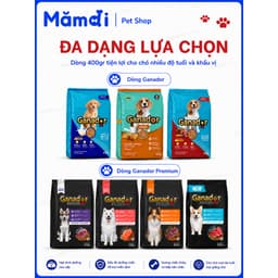 [1.2KG]Hạt Ganador Cho Chó 3 Túi x 400g | Thức Ăn Hạt Puppy Adult Nhiều Vị Lựa Chọn 4