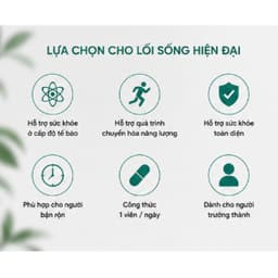Codeage Liposomal NMN & TMG 30 Viên | Hỗ Trợ NAD+ | NMN + Betaine TMG | NSF Certified | Nhập Khẩu Mỹ 30 viên 6