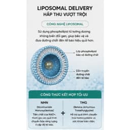 Codeage Liposomal NMN & TMG 30 Viên | Hỗ Trợ NAD+ | NMN + Betaine TMG | NSF Certified | Nhập Khẩu Mỹ 30 viên 4