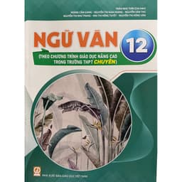 Sách - Ngữ văn 10 - 11 - 12 ( theo chương trình giáo dục nâng cao trong trường THPT chuyên ) 2