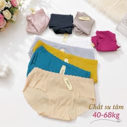 (Hàng loại đẹp)sét 5-10 quần lót su tăm cao cấp co dãn bốn chiều đẹp, quần lót nữ bền 40-63kg 1