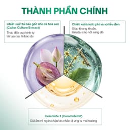 [MUA 04 TẶNG 01] Tế Bào Gốc Xử Lý Sẹo, Trẻ Hóa Da GSC GA Anti Ageing Ampoule 5