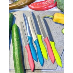 Set 2 dao răng cưa WMF SNACK KNIFE dao gọt hoa quả chất liệu thép không gỉ cao, cắt ngọt sắc bén 5