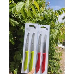 Set 2 dao răng cưa WMF SNACK KNIFE dao gọt hoa quả chất liệu thép không gỉ cao, cắt ngọt sắc bén 6