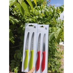 Set 2 dao răng cưa WMF SNACK KNIFE dao gọt hoa quả chất liệu thép không gỉ cao, cắt ngọt sắc bén 7