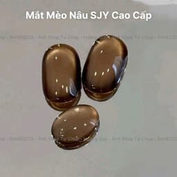 Sơn gel Mắt mèo Nâu SJY cao cấp 15ml, Mắt Mèo Mịn mướt đẹp, Lên nét dễ làm 3