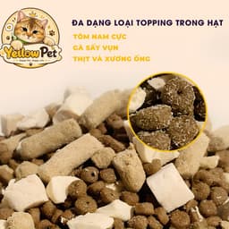 SIÊU TOPPING - 5kg Chính Hãng - Thơm Ngon Dồi Dào Dưỡng Chất Cho Mèo Mọi Lứa Tuổi 7
