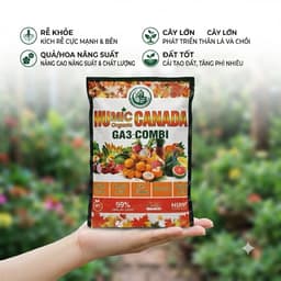 HUMIC GA3 COMBI - HỮU CƠ HUMIC CANADA GÓI 1KG NHẬP KHẨU NUÔI DƯỠNG CÂY TRỒNG TOÀN DIỆN 1