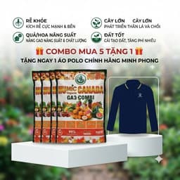 HUMIC GA3 COMBI - HỮU CƠ HUMIC CANADA GÓI 1KG NHẬP KHẨU NUÔI DƯỠNG CÂY TRỒNG TOÀN DIỆN 5