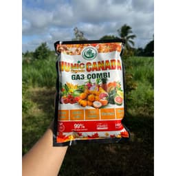 HUMIC GA3 COMBI - HỮU CƠ HUMIC CANADA GÓI 1KG NHẬP KHẨU NUÔI DƯỠNG CÂY TRỒNG TOÀN DIỆN 2