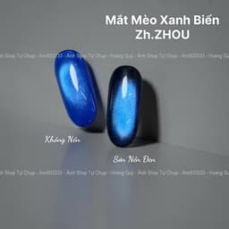Sơn Mắt Mèo Xanh Biển Zh.ZHOU cao cấp - Hoangquy.233 6