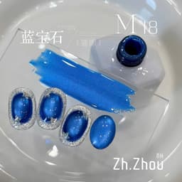 Sơn Mắt Mèo Xanh Biển Zh.ZHOU cao cấp, Sơn gel mắt mèo Xanh - Hoangquy.233 4