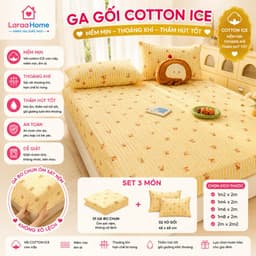 Ga Gối Cotton ICE 3 Món LaraaHome 1 Ga Bo Chun + 2 Vỏ Gối 45x65 Mềm Mịn Thoáng Khí 1
