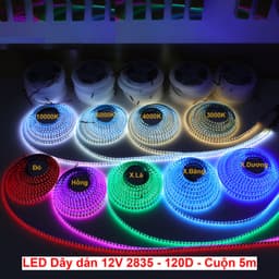 Dây đèn led dán 2835 12V 120 led 10W 5M Sáng Trắng/ Xanh Lá/ Dương/ Vàng/ Đỏ/ Hồng. LMS 1