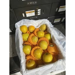 [HOẢ TỐC HCM] Mận cau cứng ngọt lịm thơm mùi mật ong thùng 2.5kg 2