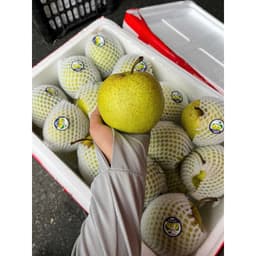 [HOẢ TỐC HCM] Lê xanh đường Hà Giang giòn ngọt thanh set 3kg 3