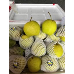[HOẢ TỐC HCM] Lê xanh đường Hà Giang giòn ngọt thanh set 3kg 2