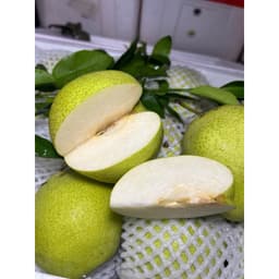 [HOẢ TỐC HCM] Lê xanh đường Hà Giang giòn ngọt thanh set 3kg 7